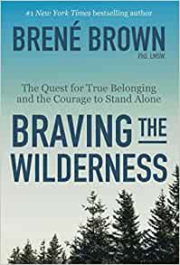 braving the wilderness for living well alone project